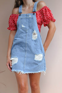 HAUYNE DENIM OVERALL